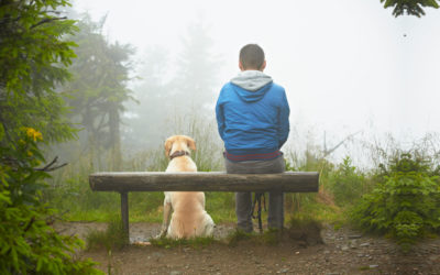 What happens when a beloved animal companion dies